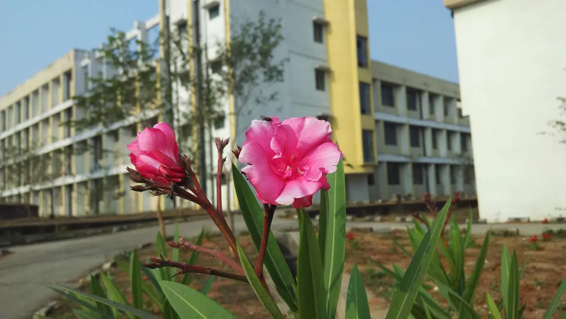 College campus